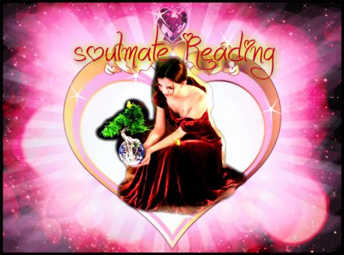 1365247750_soulmatefacebook
