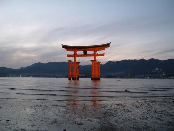 1202376974_NONALNUM-B5DCC5E7