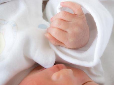 1391680436_babyb