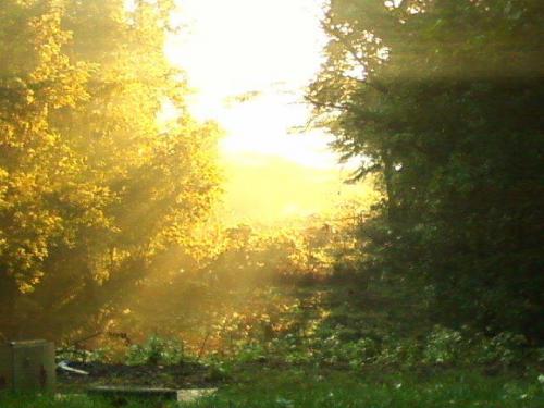 1342428660_40948126449616362482617892105n