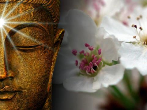 1346055869_budda