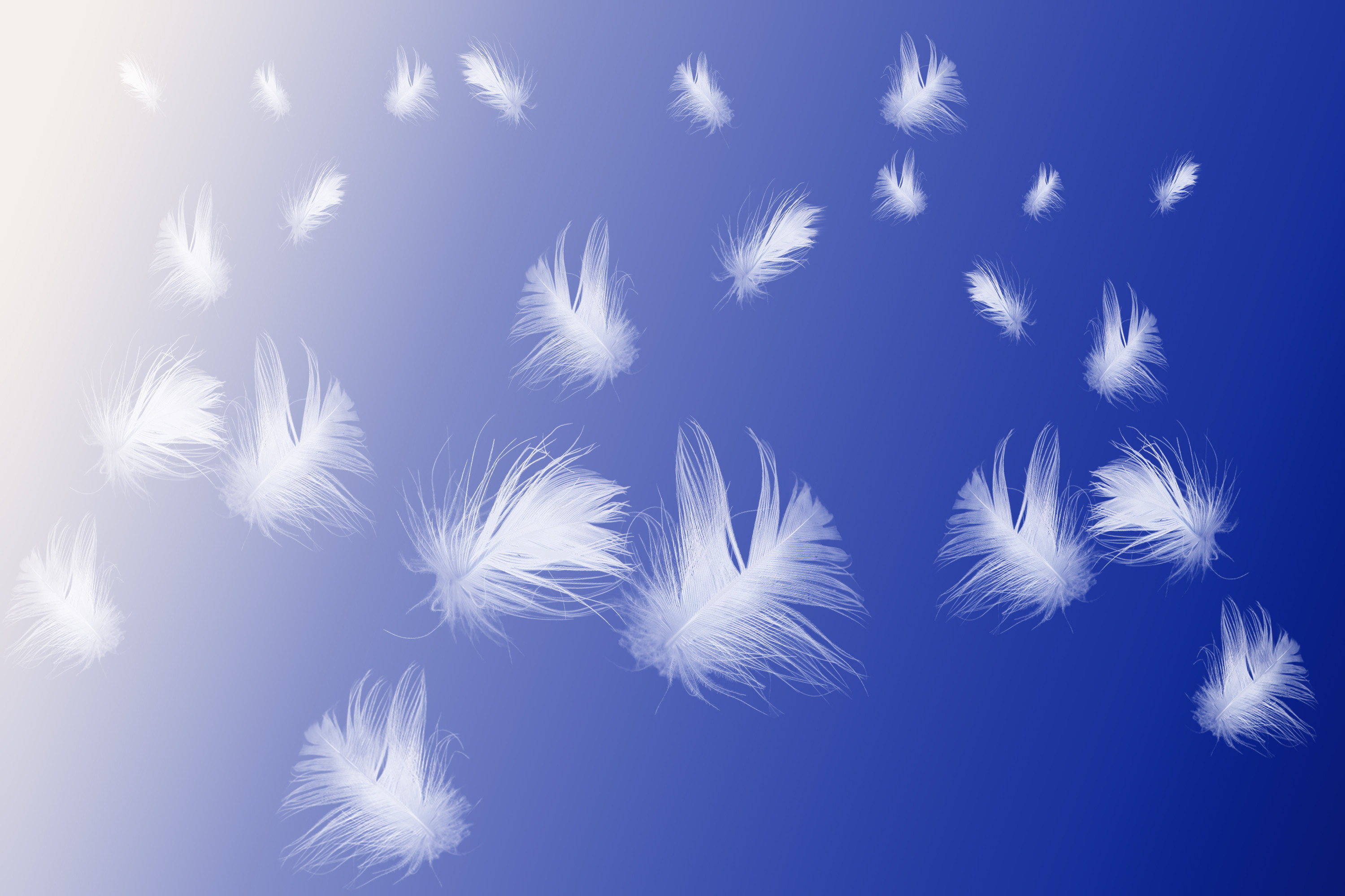 canstockphoto14488361