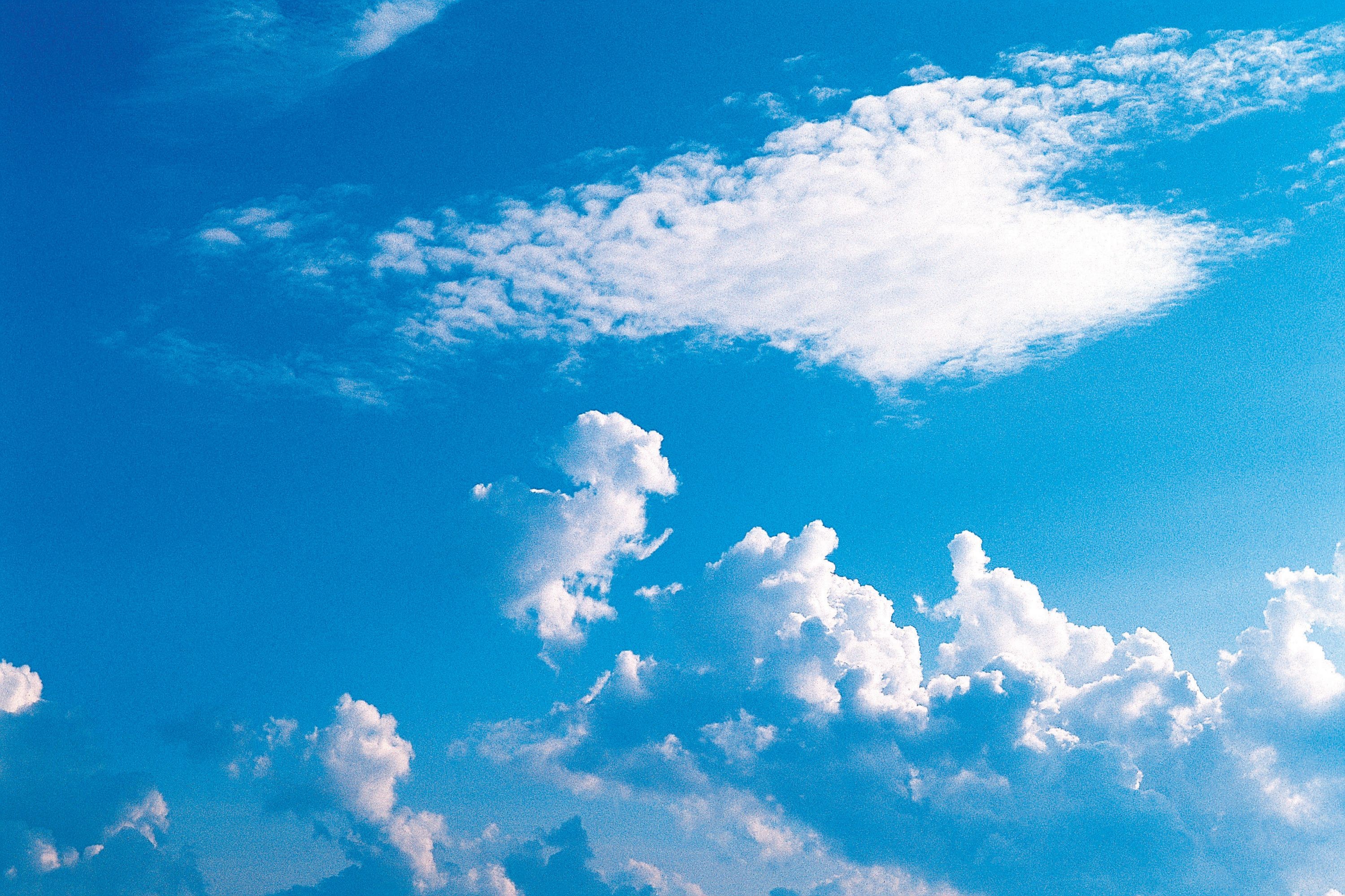 canstockphoto4859369